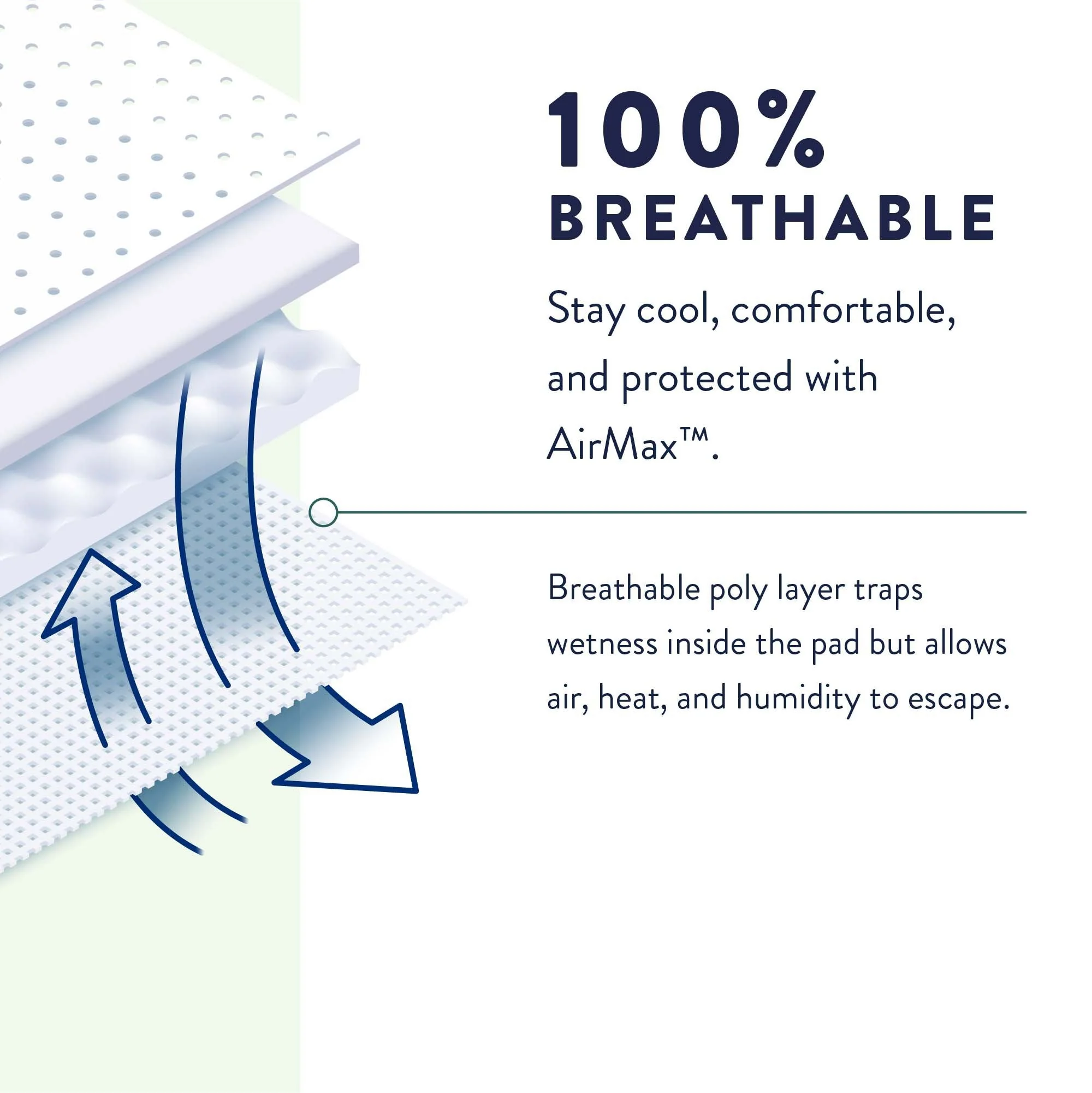 Prevail® Maximum Absorbent Underwear, Extra Large, 14 ct - Image 6